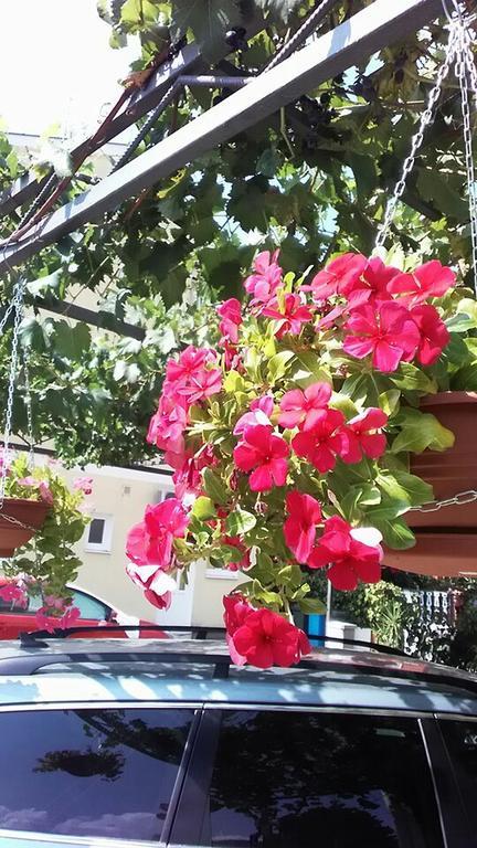 טיווט Apartments Jovan מראה חיצוני תמונה