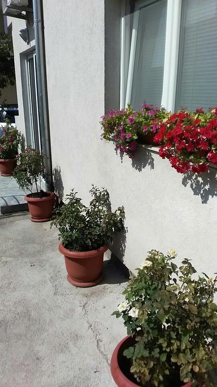טיווט Apartments Jovan מראה חיצוני תמונה